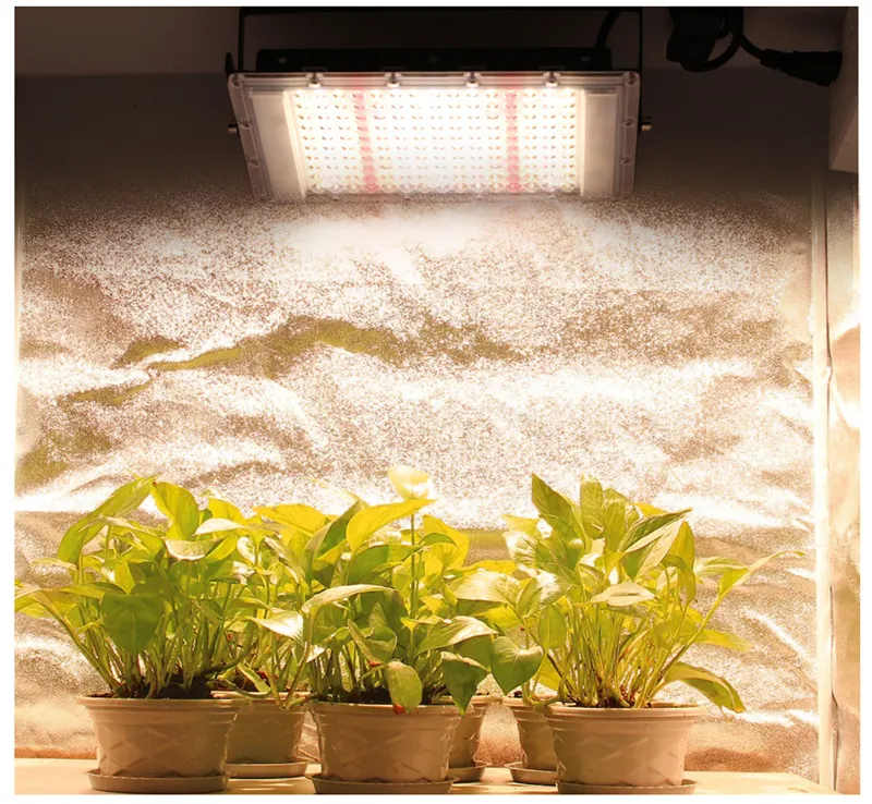 แผงไฟปลูกพืชพร้อมปลั๊ก EU/US,ไฟ LED แสงแดด50W 100W 300W ปลูกได้ไฟฟลัดไลท์ AC110V 220V ตามฤดูกาล