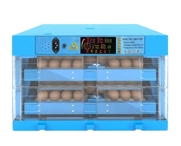 Incubadores para ovos para incubadora, ovos para incubadora de ovos/incubadora de aves