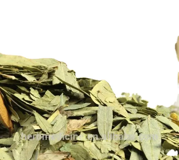 Ventilador xie ye para té, hojas secas naturales, verde crudo