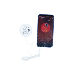 Raspberry Pi Lautsprecher 3,5mm Schnitts telle Musik kissen Universal Kissen Lautsprecher Mini Lautsprecher Plug and Play - Product Image 3