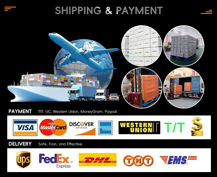 Contact us-Logistics service