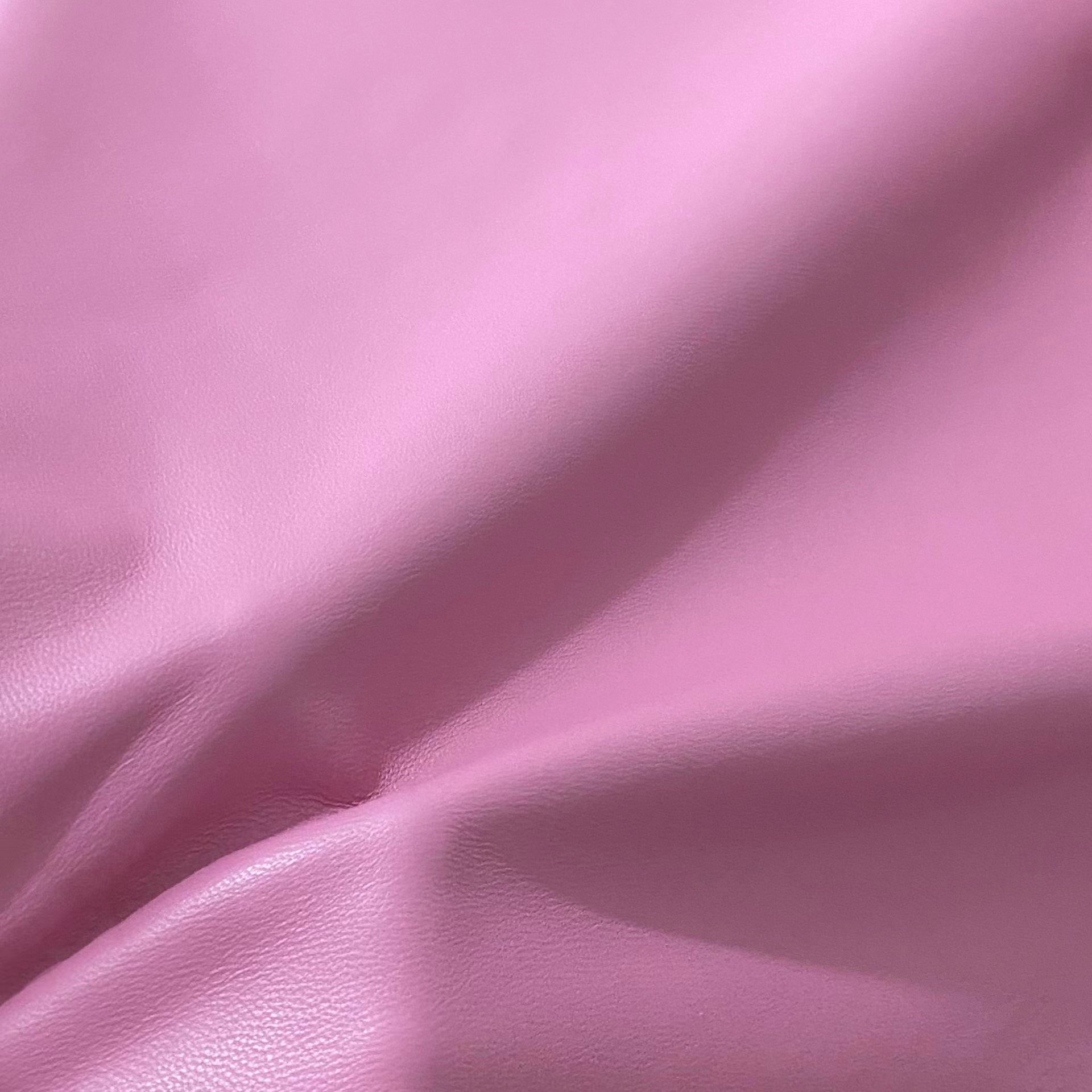 Rosa brillante