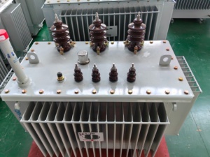 Trasformatore immerso in olio con Design silenzioso e antipolvere con potenza di utilizzo 125kva capacità nominale 11kv tensione di uscita - Product Image 6