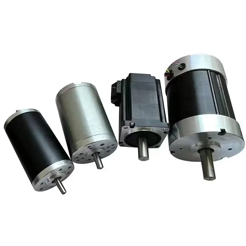 Größe 30mm-110mm Leistung 10w-2000w Anpassbarer gebürsteter bürstenloser PM-Gleichstrom motor CE RoHS 12VDC 24VDC 36VDC 48VDC 60VDC