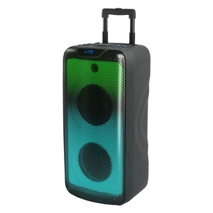 2022 Private Dual 8 Inch PA System Stereo Professional Rechargeable Speaker 100 Watt RMS Power Flame Light Party Speaker - Product Image 2