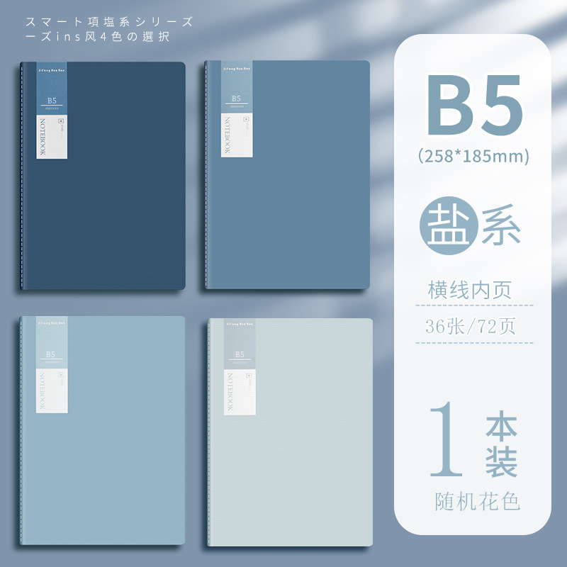 B5-salt color series-36 sheets-single price