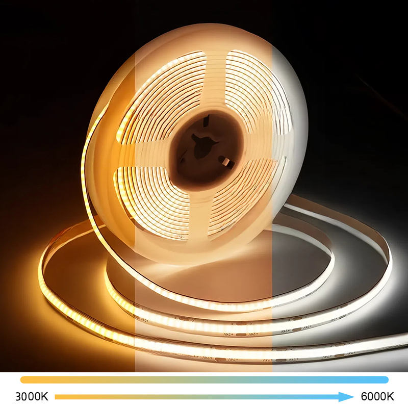 COB-CCT-608D-10mm-24V