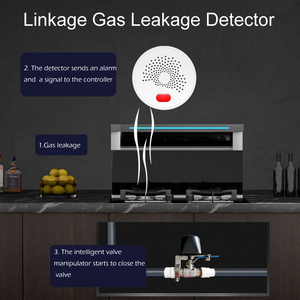 Smart Home <strong>Automation</strong> <strong>System</strong> Compatible With Tuya Smart APP Smart Valve Tuya Wifi Zigbee Controller - Product Image 6
