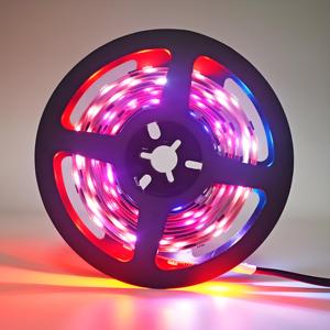 RGB multicolore cambiamento striscia di luce a LED con DC12V 18W adattatore Controller RGB indirizzabile Kit di striscia a LED per la retroilluminazione TV