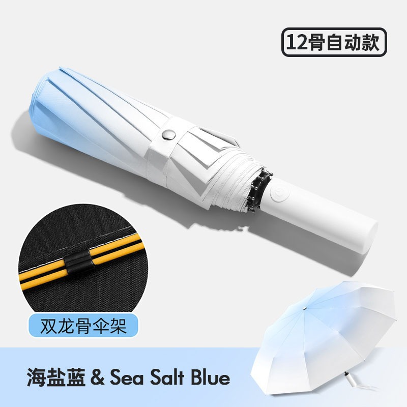 Gradient sea salt blue-automatic 24 bone