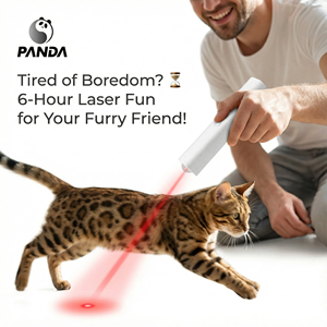 Puntatore USB Ricaricabile, Giocattolo Interattivo con Luce Rossa, Penna <span class=keywords><strong>Laser</strong></span> per Gatti, Gioco di Addestramento per Felini - Product Image 2