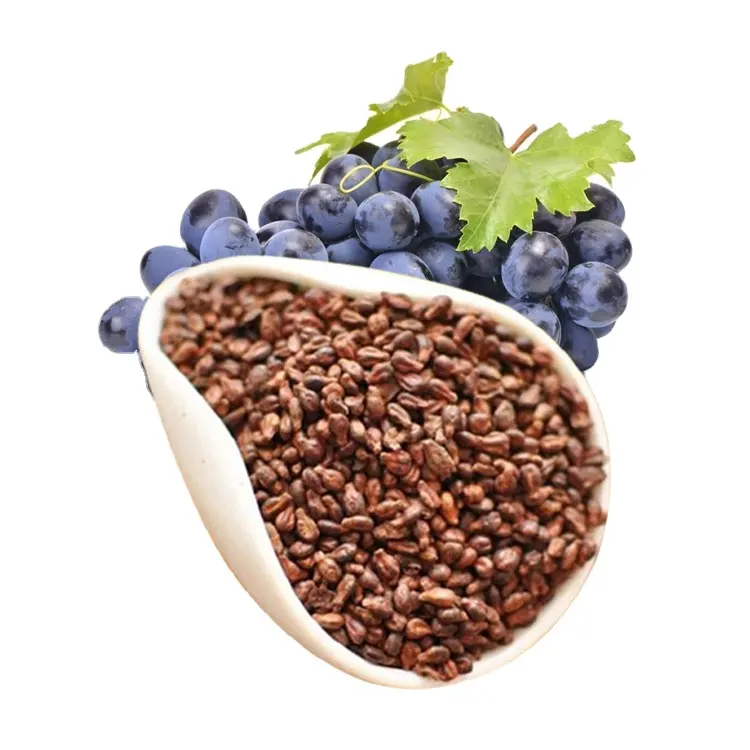 Forti benefici antiossidanti estratto di semi d'uva estratto di semi d'uva Opc 95