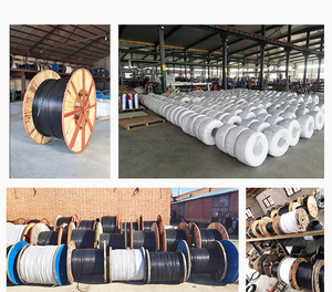 สายไฟฟ้าพลังงานแสงอาทิตย์2PFG PV1-F 2.5/4/6/10mm2 (14/12/10/8AWG) พร้อมฉนวน XLPE XLPO - Product Image 6