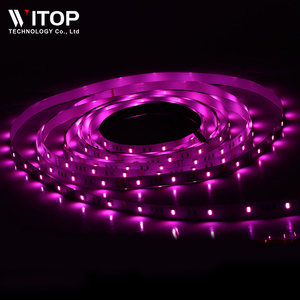 New5050 RGB W WW 5つのチップを1つのLEDデュアルCCTDC24V12Vフレキシブルストライプ5in1 5050RGBWWLEDストリップライト - Product Image 6