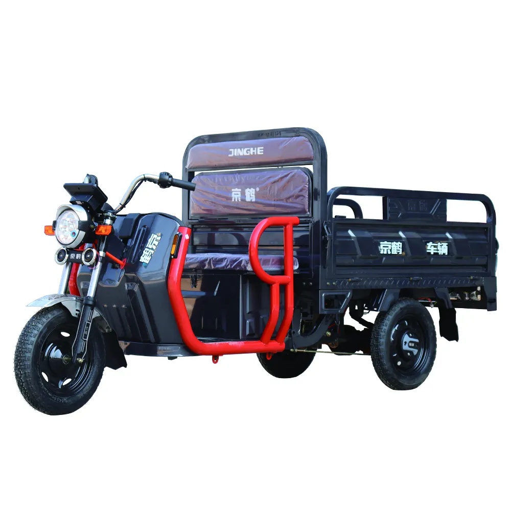 Tricycle adulte de Tricycle électrique de 60V 1000W de tricycle de mode de prix bas pour le mini camion d'adultes