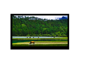7 "Display MIPI DSI UART-Schnitts telle IPS TFT Touchscreen-Display 7-Zoll-LCD-Modul - Product Image 4