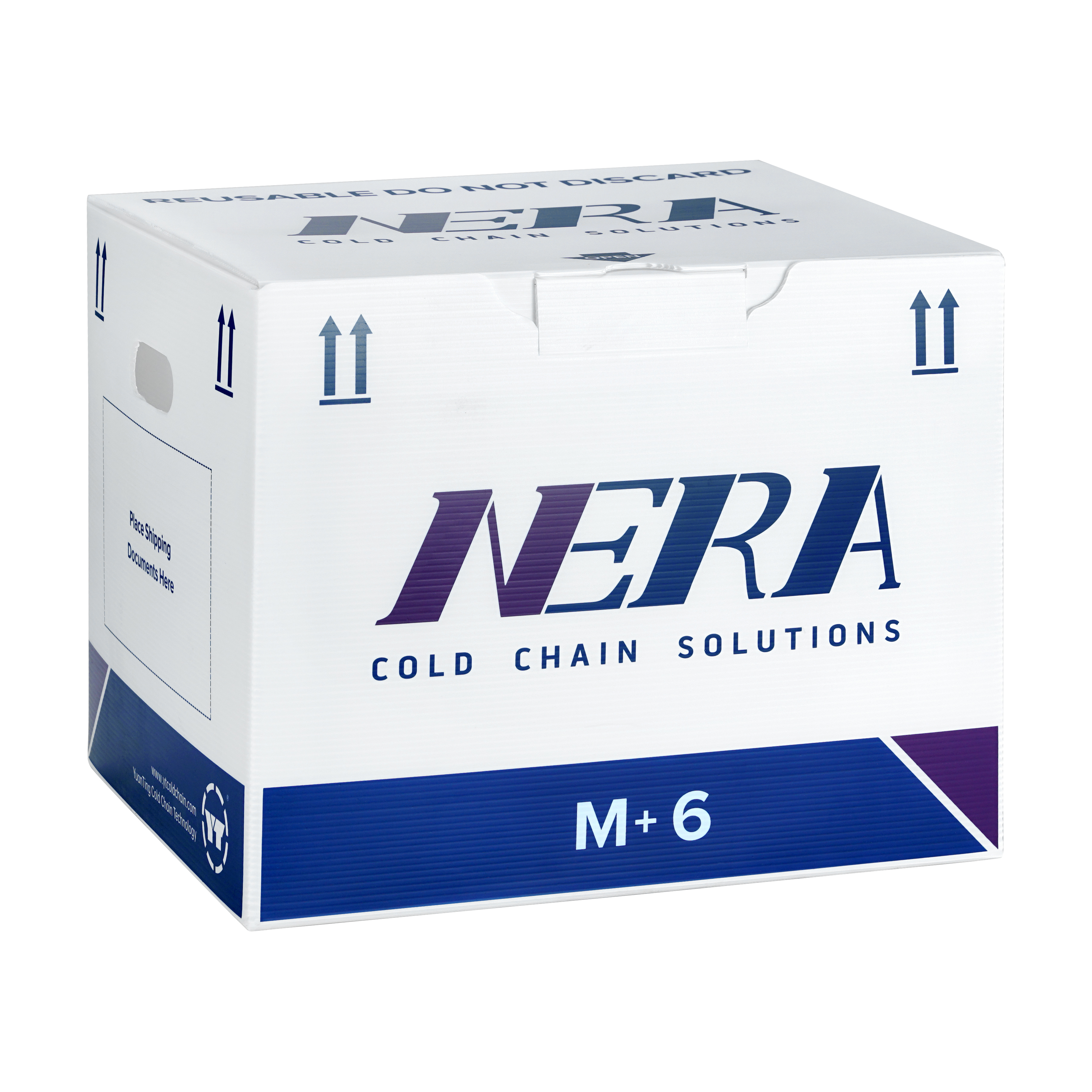 M+6