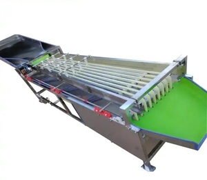 Macchina di classificazione delle dimensioni della data della prugna di alta qualità facile da usare Arabia saudita data Palm mirtillo frutta selezionatrice automatica - Product Image 4
