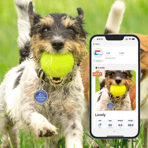 Etiqueta personalizada para mascotas con ribete de metal NFC programable con código QR y URL, collares con etiqueta para perros - Product Image 6