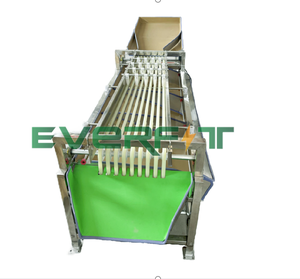 Size <strong>Sorting</strong> Machine Rail Type <strong>Sorting</strong> Machine 1000kg/h - Product Image 5
