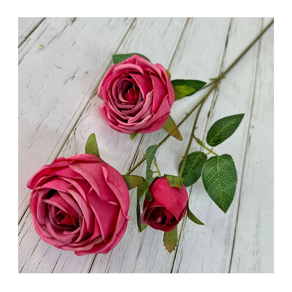 3 teste di rosa fucsia