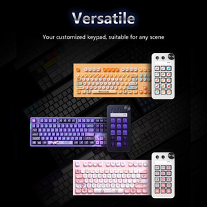 Teclado Visual con cable USB, almohadilla Digital, consola de calculadora con retroiluminación LED, programación de teclas inteligentes, teclado de ordenador personalizado, nuevo producto