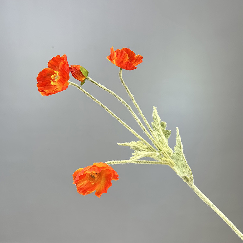 Poisson floqué à quatre têtes, beauté orange-rouge.