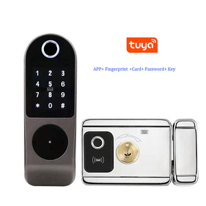 Tuya App akıllı kilit çift taraflı parmak izi kilidi su geçirmez güvenlik şifre RFID anahtarsız giriş TT parmak izi kapı kilidi - Product Image 2
