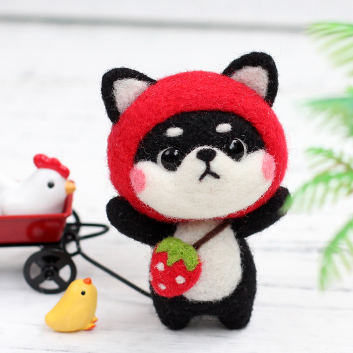 10 Needle Felting Kit
