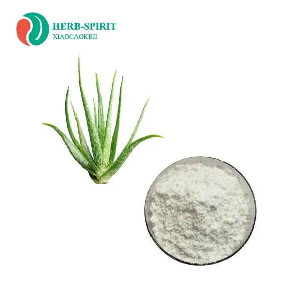 Extracto Natural de hoja de Aloe Vera, Aloin 20%, 90% en polvo