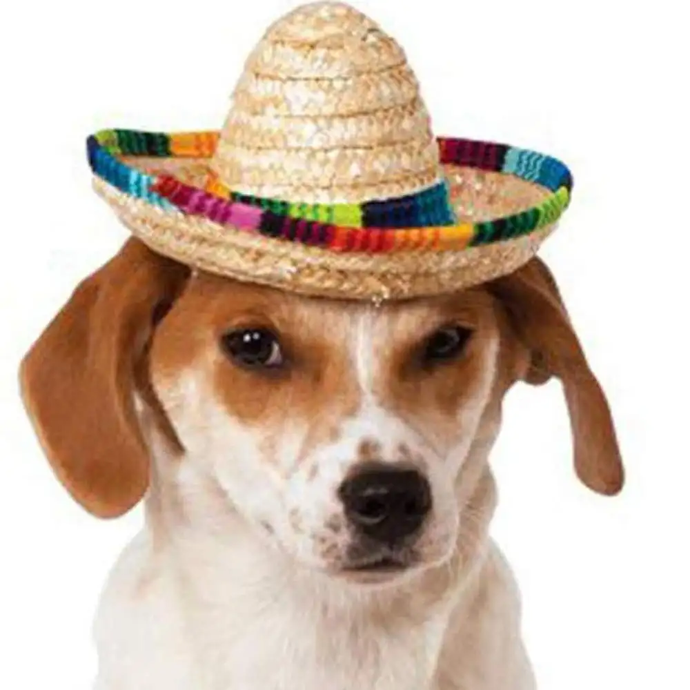 Chapéu sombero para cachorros, chapéu de palha sombré, chapéus mexicanos para animais de estimação pequenos/filhotes/gatos