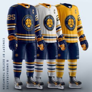 Toptan buz hokeyi <span class=keywords><strong>Jersey</strong></span> 100% Polyester herhangi bir Logo özel geri dönüşümlü hokey forması - Product Image 1