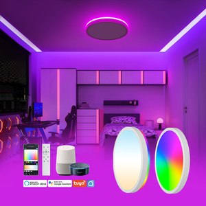 การออกแบบที่ทันสมัยรอบไฟเพดาน WiFi Tuya RC ควบคุมแสง LED ติดพื้นผิวสี RGB 2700-6500K - Product Image 2