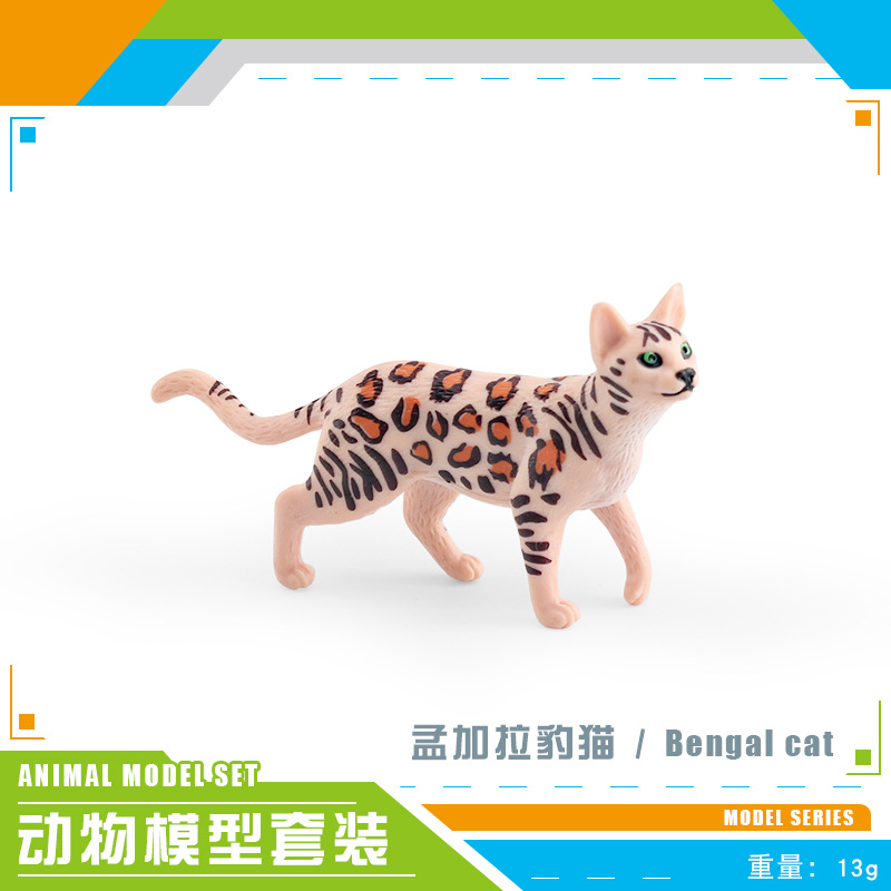 PL127-2507 Ocelot du Bengale 13g