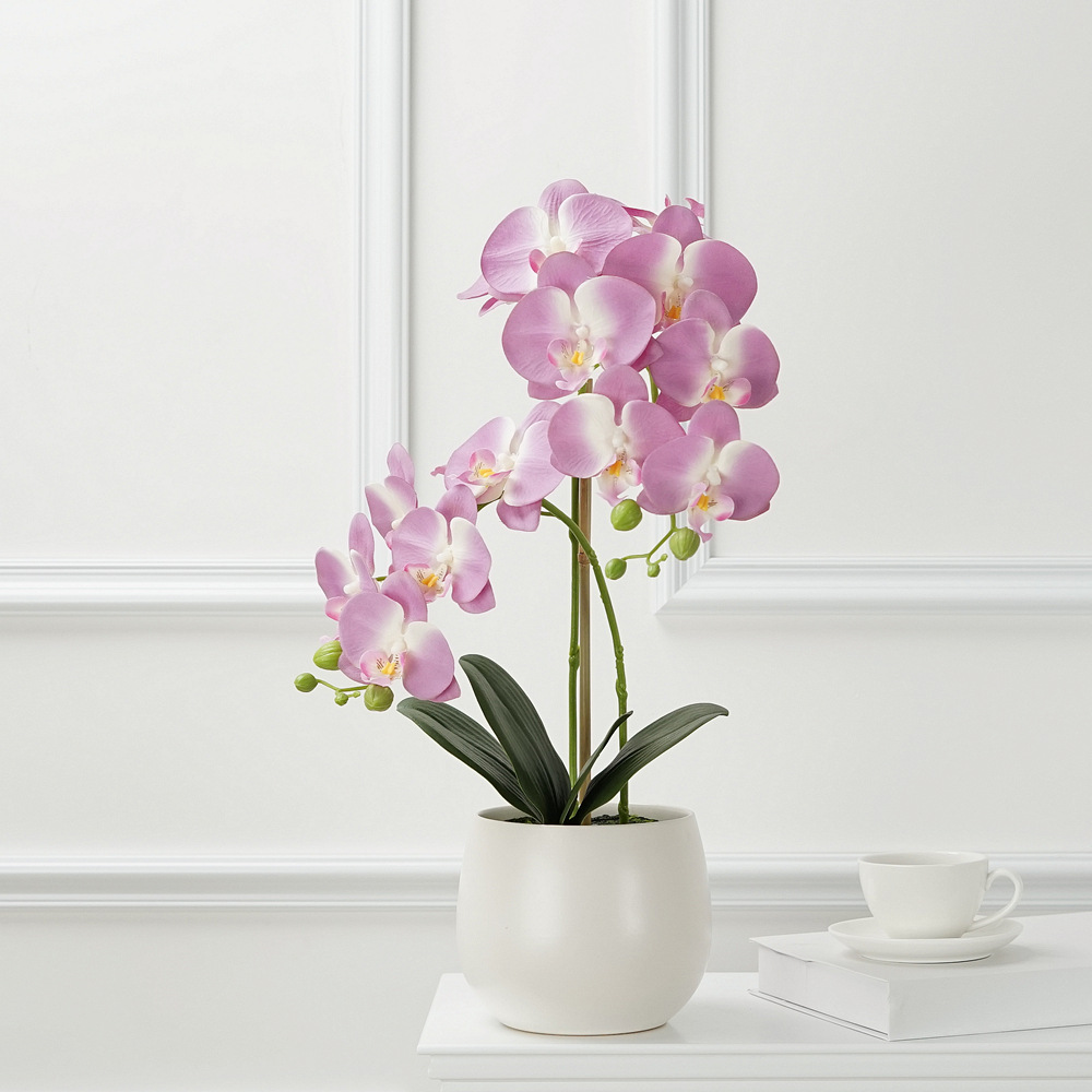Light Purple