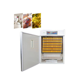 Yüksek kaliteli tam otomatik ccouveuse 1000 oeufs mini couveuse automatique 3 oeufs elektrik brooder - Product Image 4