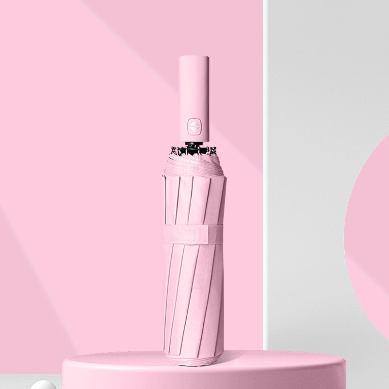 sakura rose