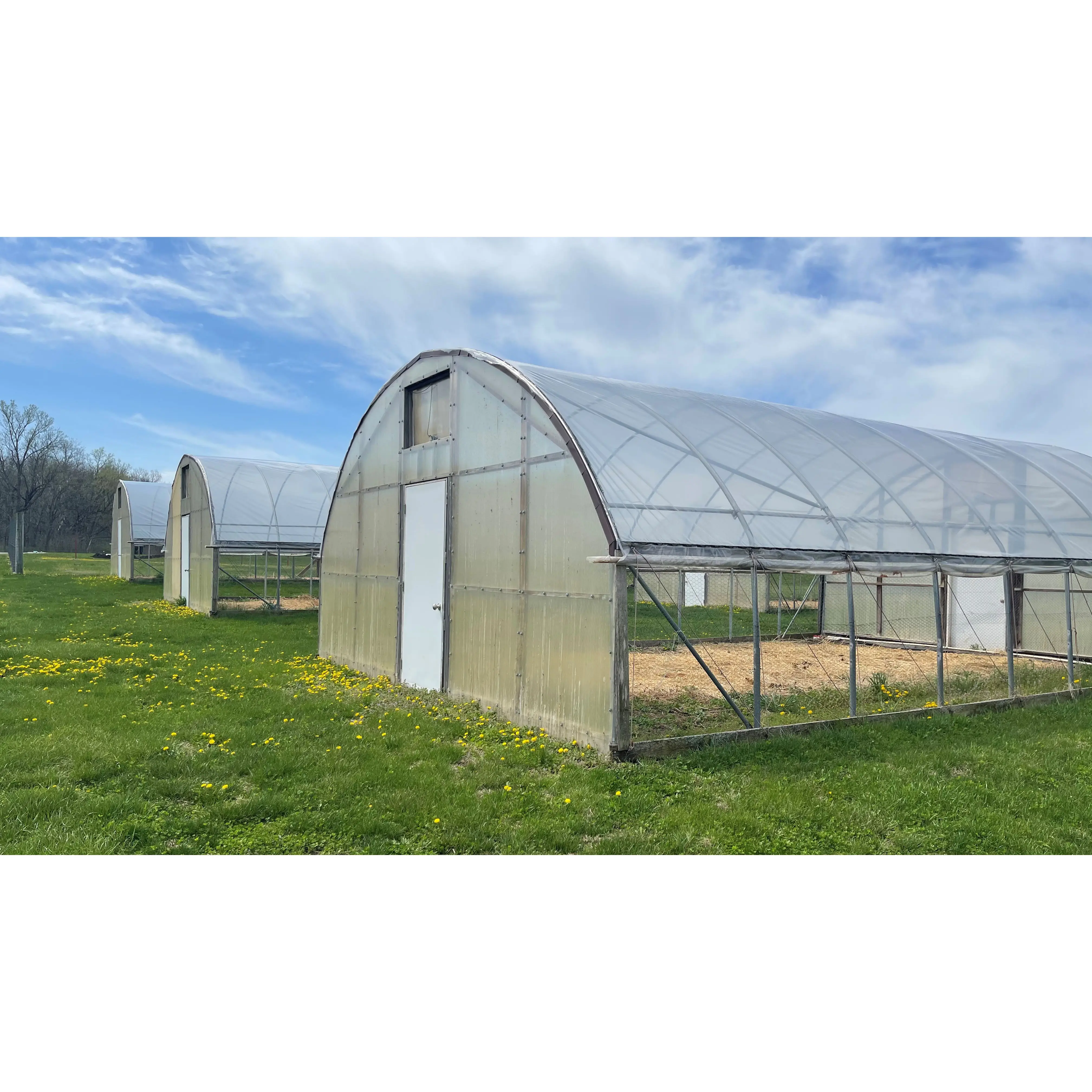 Pepinos agrícolas de un solo tramo, tienda de cultivo, soporte de aro alto, túnel, invernadero