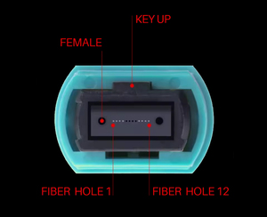 OM4 MM LSZH optic fiber suppliers MPO to MPO <strong>trunk</strong> cable Fiber optic patch cord 12 core MPO patch cord - Product Image 6