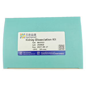 Phân ly mô cho nghiên cứu ISO 9001 ba3322 thận phân ly Kit(10 thử nghiệm) - Product Image 6