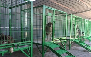 USMILEPET厂家直销大型犬户外狗板条箱加厚钢筋钢筋焊接犬舍犬养殖基地 - Product Image 6