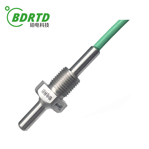 Ventas directas de fábrica Instalación roscada de alta precisión Resistencia de platino Sensor de temperatura PT100 - Product Image 6