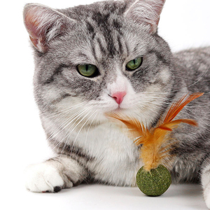 Limpieza de dientes no tóxicos, hierba gatera de oveja, juguetes de menta comprimidos para satisfacer la necesidad del gato de bola de estimulación, hierba gatera - Product Image 5