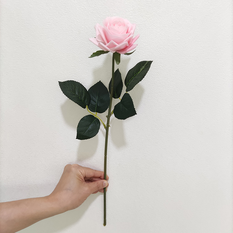 rosa claro