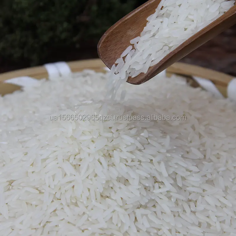 Gạo Hoa Nhài từ Việt Nam