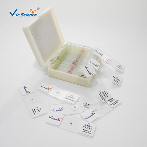 The <strong>Laboratory</strong> <strong>of</strong> Medical University Prepared <strong>Microscopic</strong> Human Pathological <strong>Slides</strong> <strong>of</strong> Respiratory System <strong>Type</strong> - Product Image 3