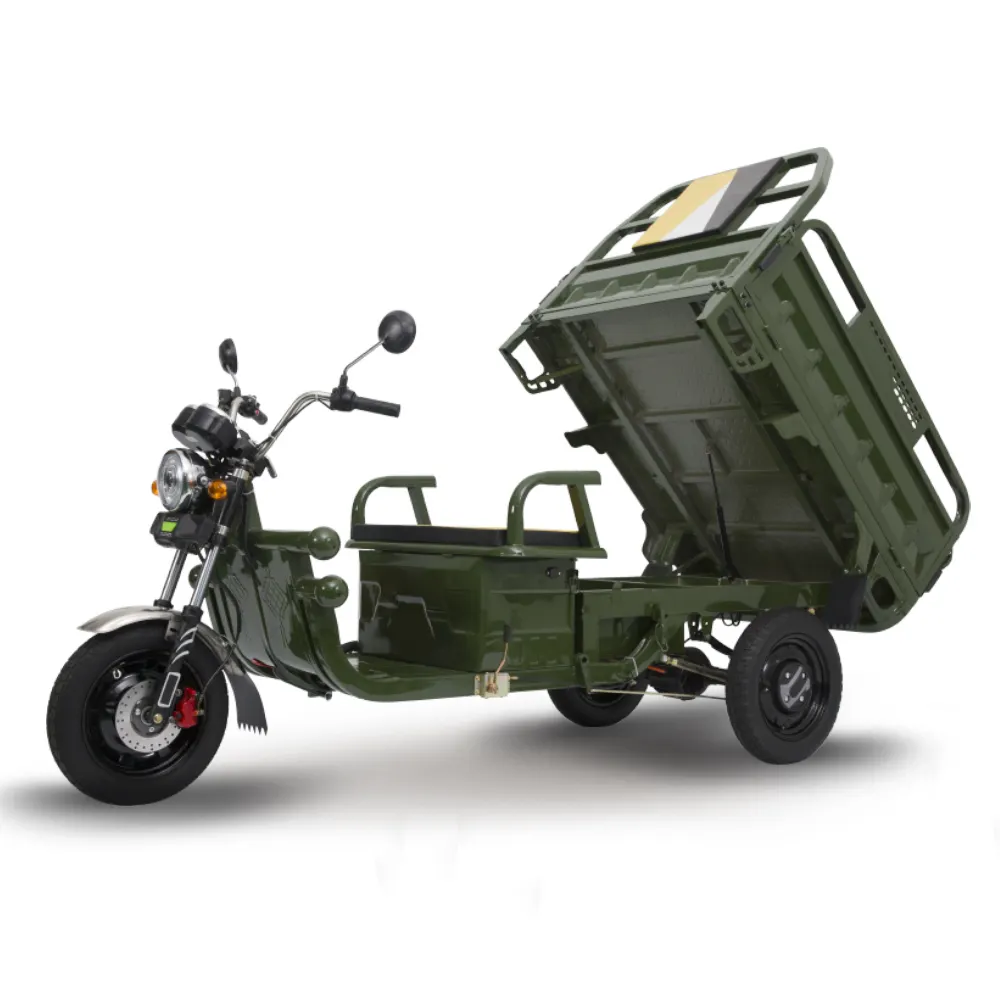 MDXC06 Eec Certificate Electric Car Family Tricycle Adult Cargo 1000w Pedal Freight 3 Wheels Electric Tricycle