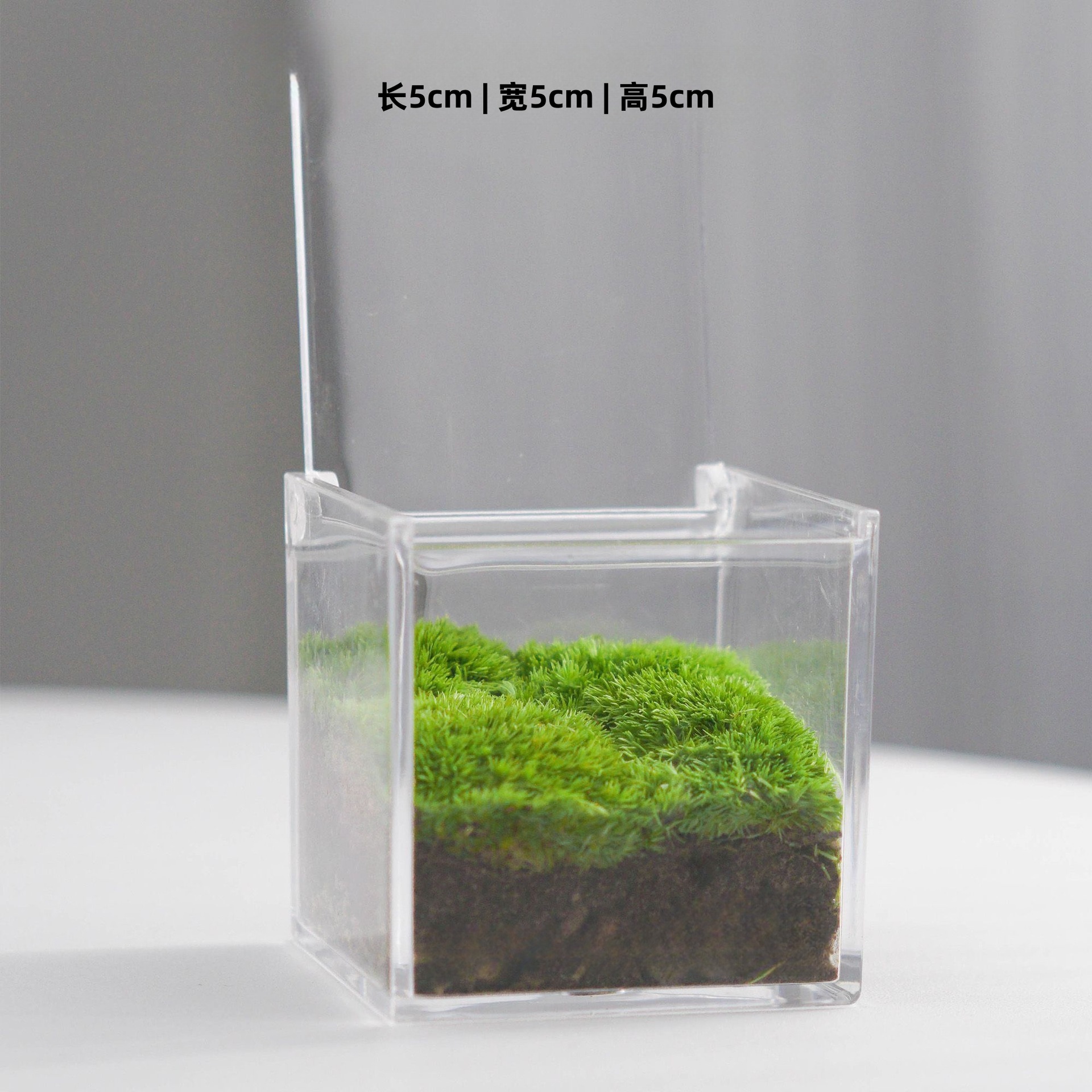 Standard version (5x5x5cm private lawn)