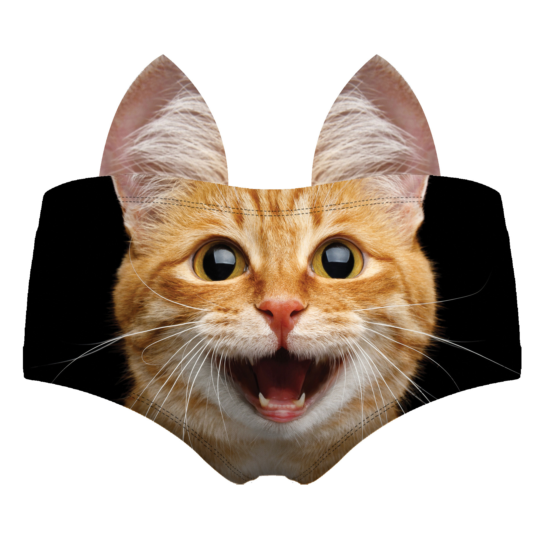 Gatto nero