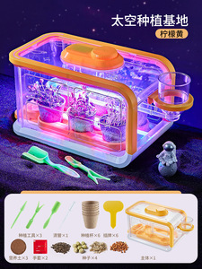 小学生のためのDIY温室野菜観察ボックスセット科学 & 工学玩具 - Product Image 5